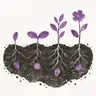 Four purple plants at successive growth stages, with visible seeds and roots beneath charcoal soil.